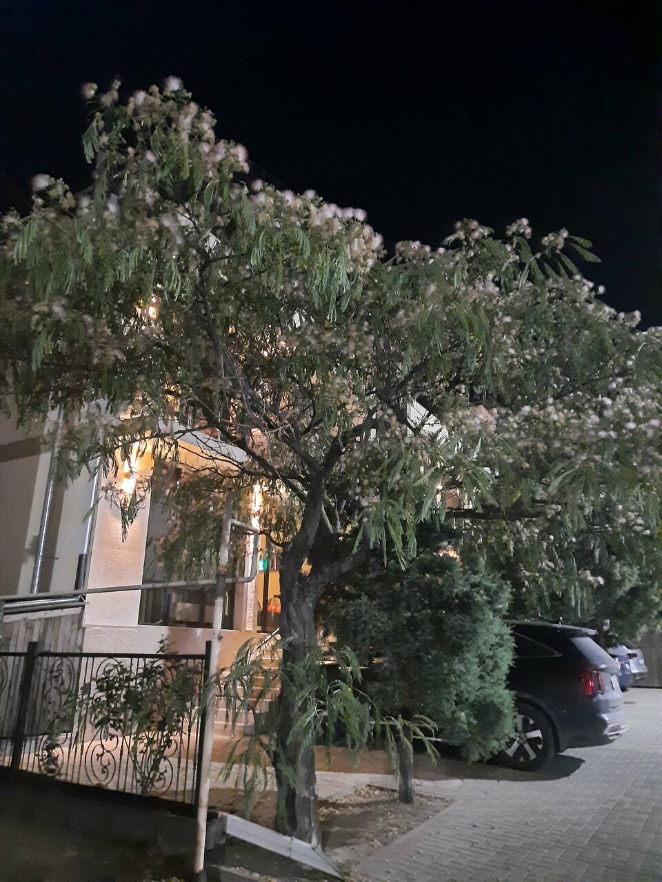 Гостиница Терраса Кабардинка-81