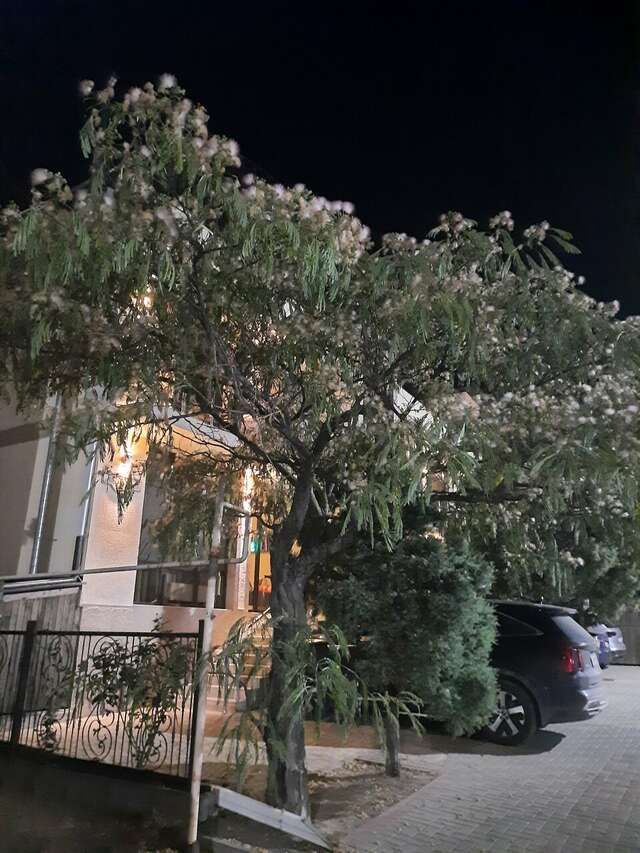 Гостиница Терраса Кабардинка-80